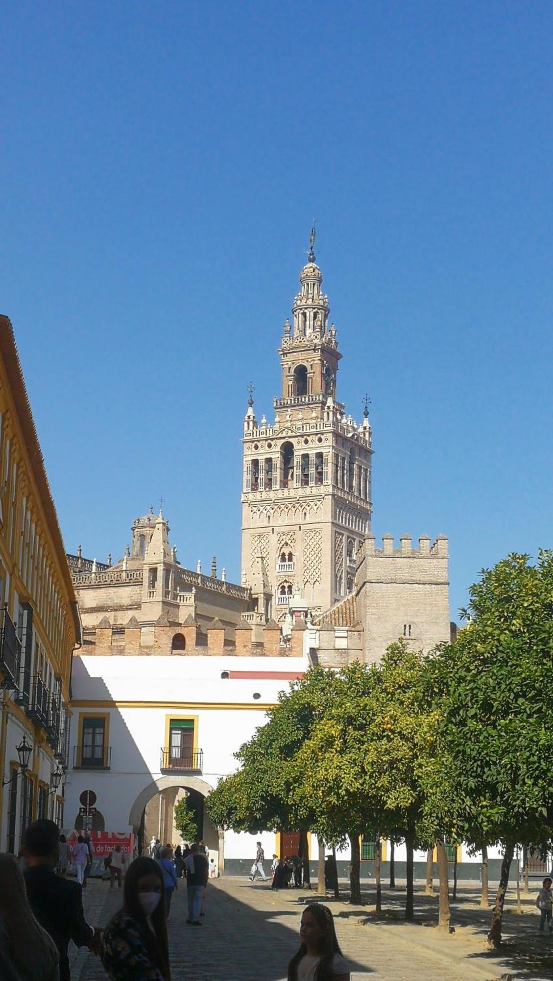 Apartamentos Flamenco B&B Sevilla Dış mekan fotoğraf