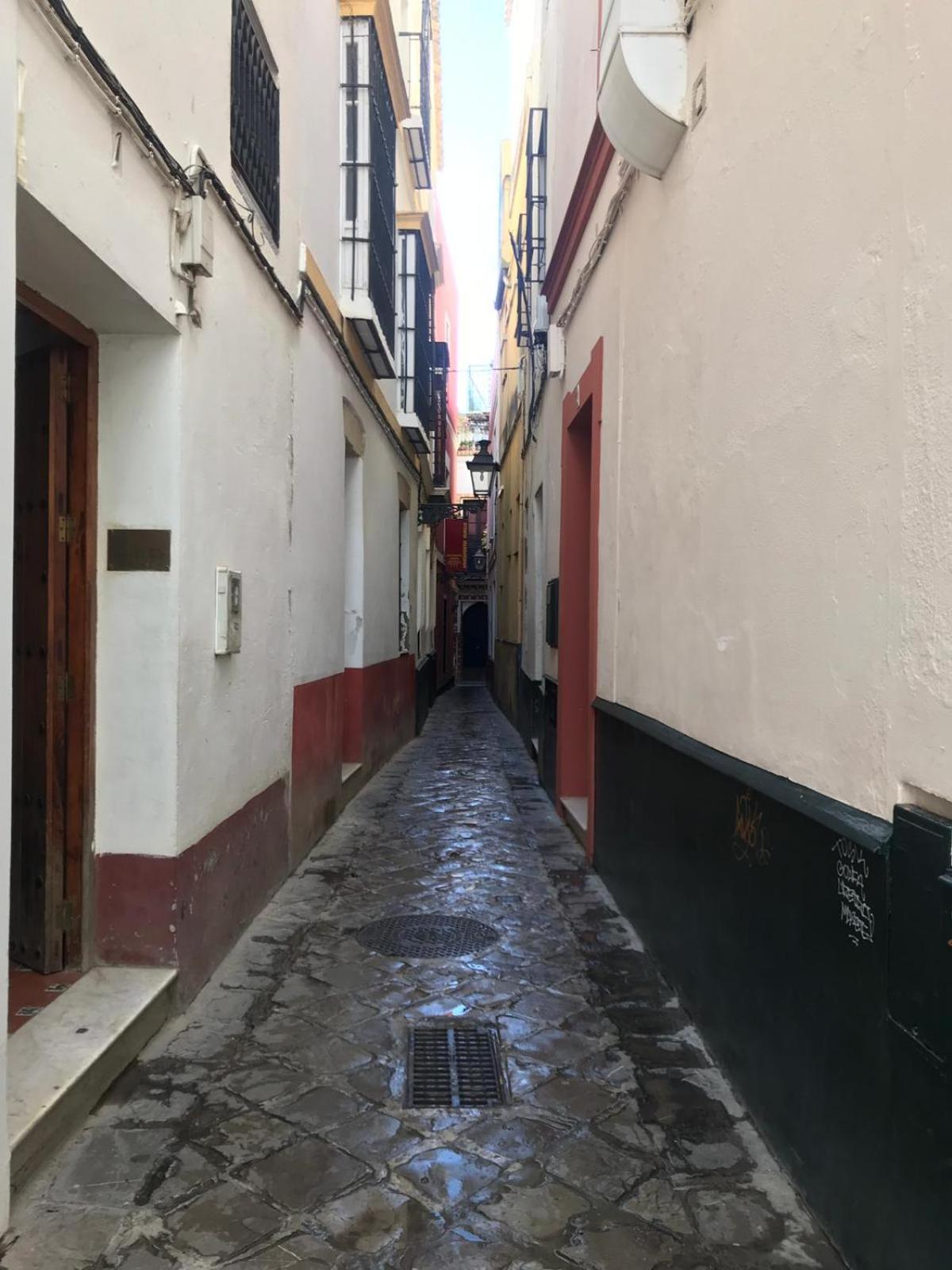 Apartamentos Flamenco B&B Sevilla Dış mekan fotoğraf