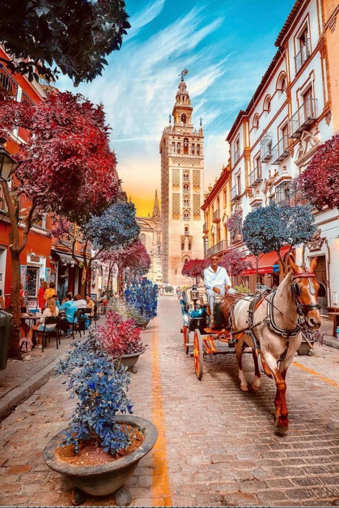 Apartamentos Flamenco B&B Sevilla Dış mekan fotoğraf